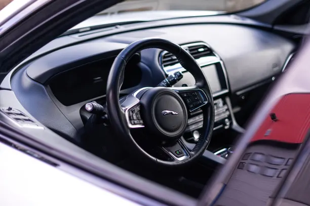 קזינו טרז'ר מייל אפליקציית Android/iOS